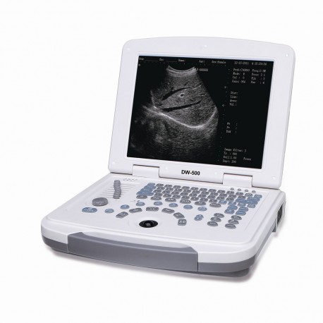 DW 500 Black and White Ultrasound